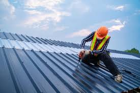 Best Roof Maintenance and Cleaning  in Brandermill, VA